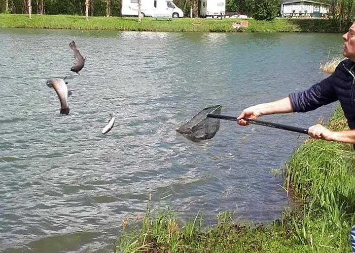 3 Etoiles - Efb0hg Arques-la-Bataille